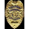 LONG BEACH, CA HARBOR PATROL OFFICER MINI BADGE PIN